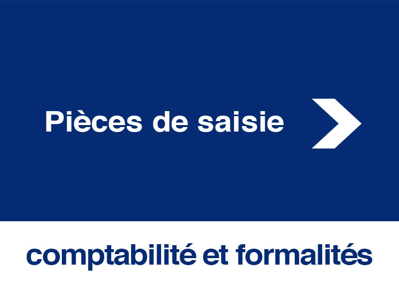 Pièces de saisie